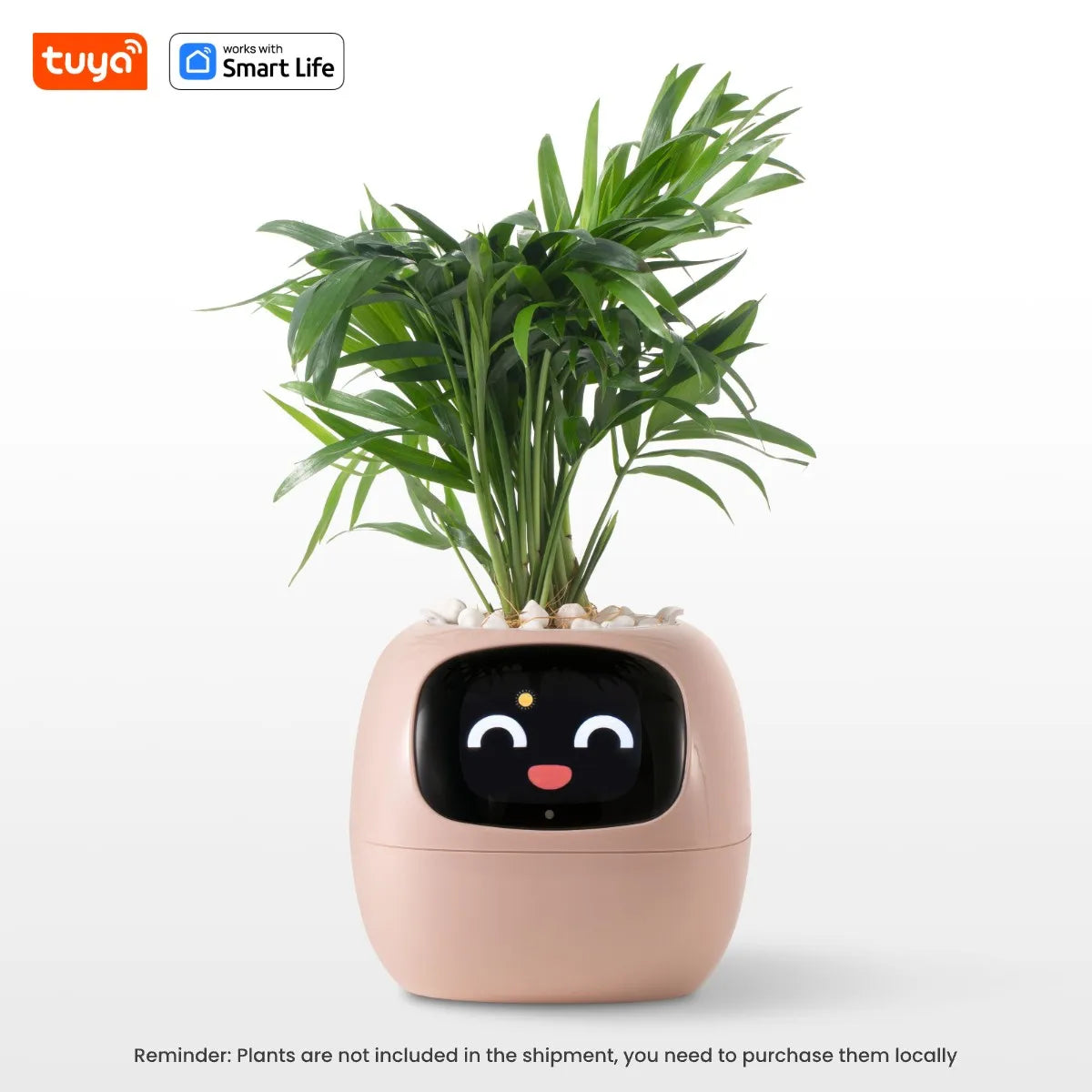 Ivy Tuya Smart Planter – AI Plant Care with Sensors