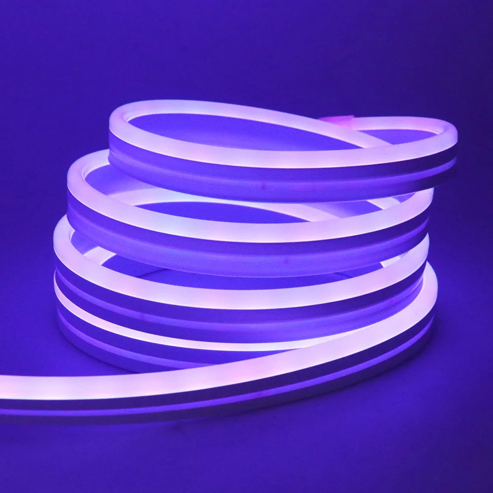 3535 RGB Neon LED Strip Lights 24V 5m 10m 20m 30m Neon Rope Light with Music Sync IP67 Waterproof Light Strip for Home Decor