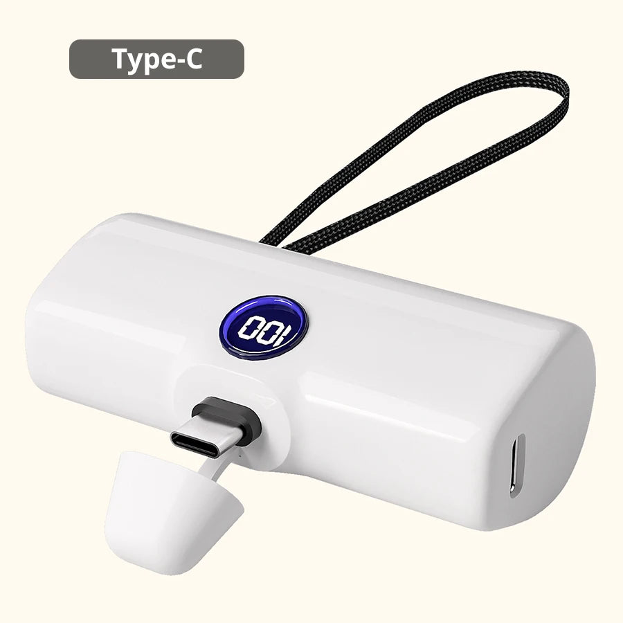 Fast Charge Portable Power Bank