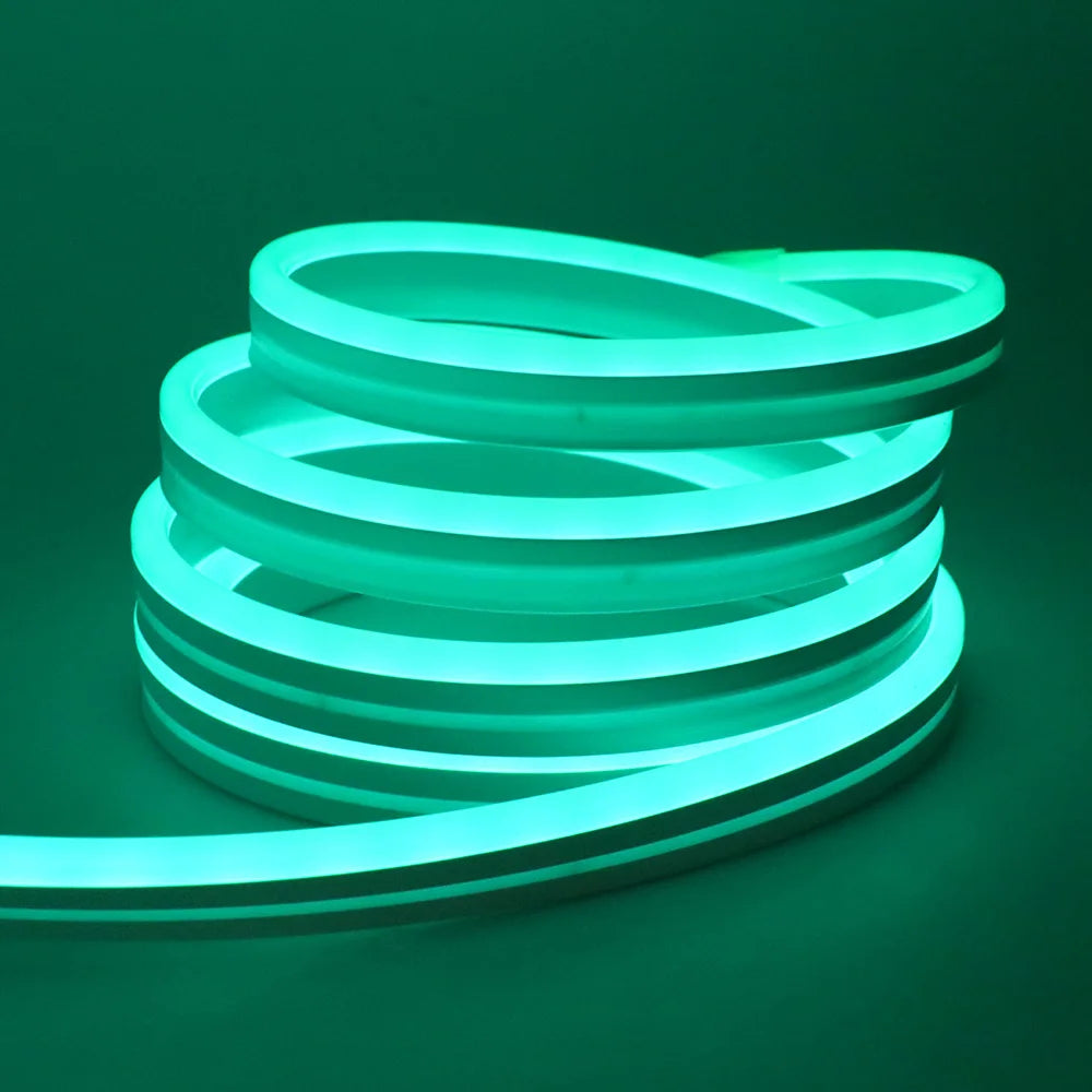 3535 RGB Neon LED Strip Lights 24V 5m 10m 20m 30m Neon Rope Light with Music Sync IP67 Waterproof Light Strip for Home Decor