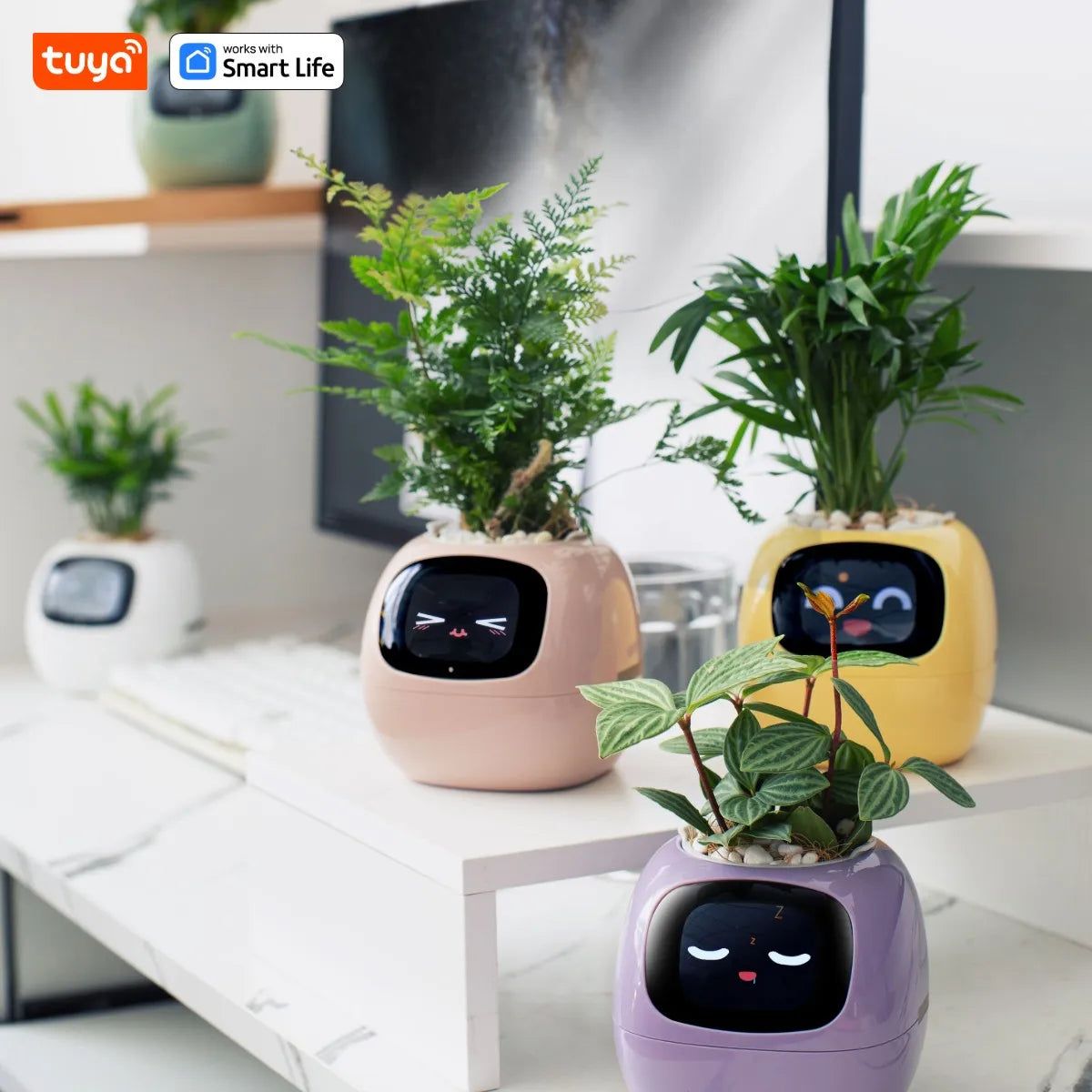 Ivy Tuya Smart Planter – AI Plant Care with Sensors