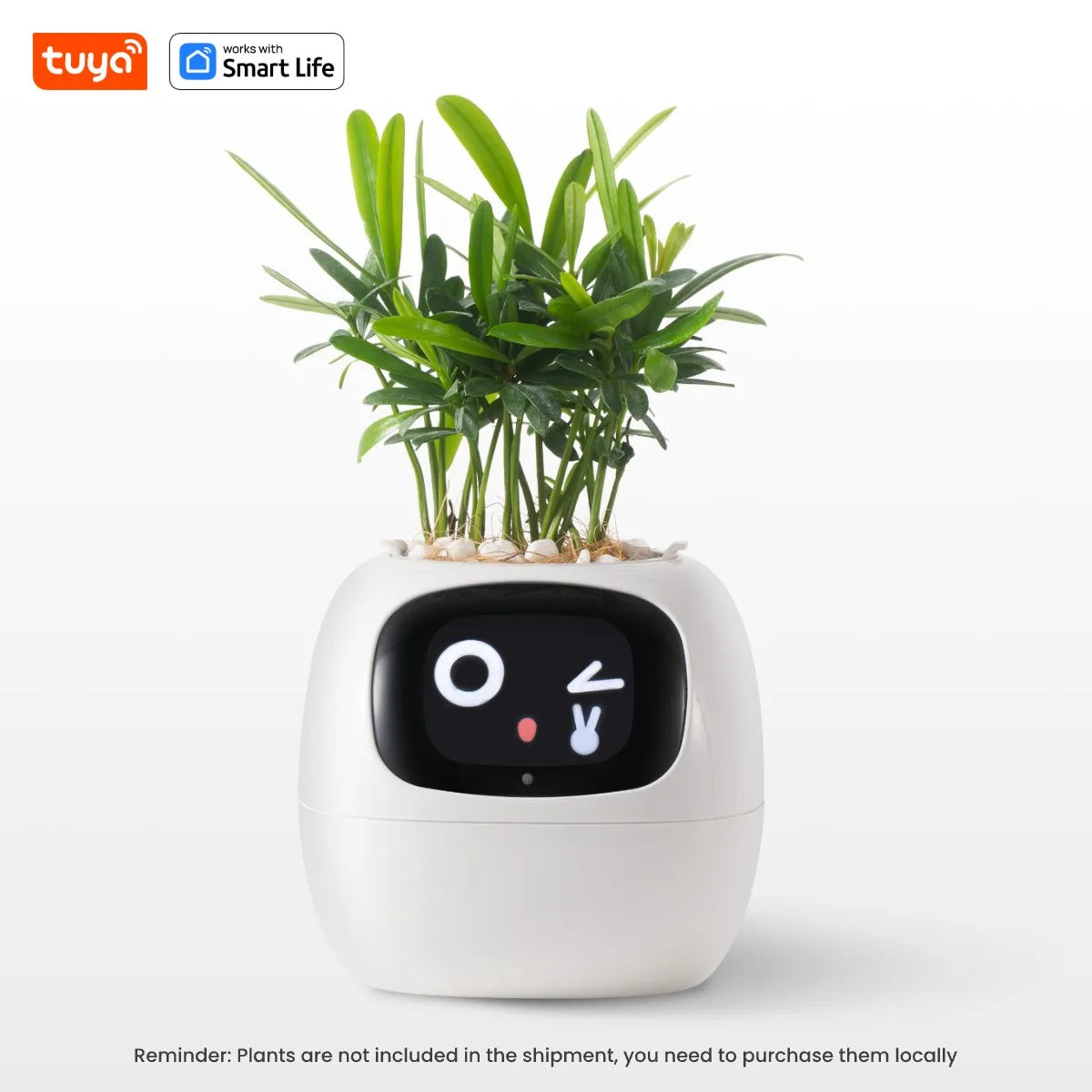 Ivy Tuya Smart Planter – AI Plant Care with Sensors