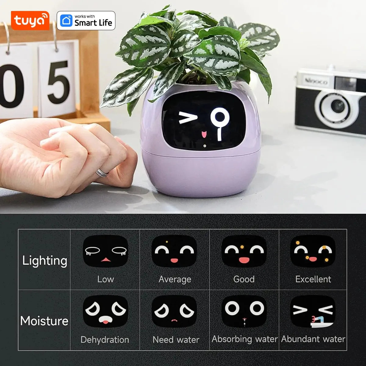 Ivy Tuya Smart Planter – AI Plant Care with Sensors