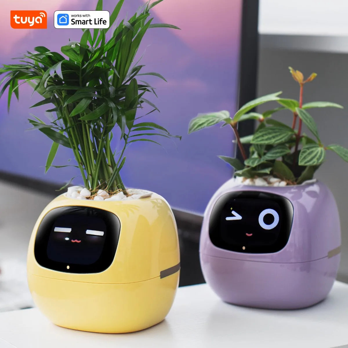 Ivy Tuya Smart Planter – AI Plant Care with Sensors