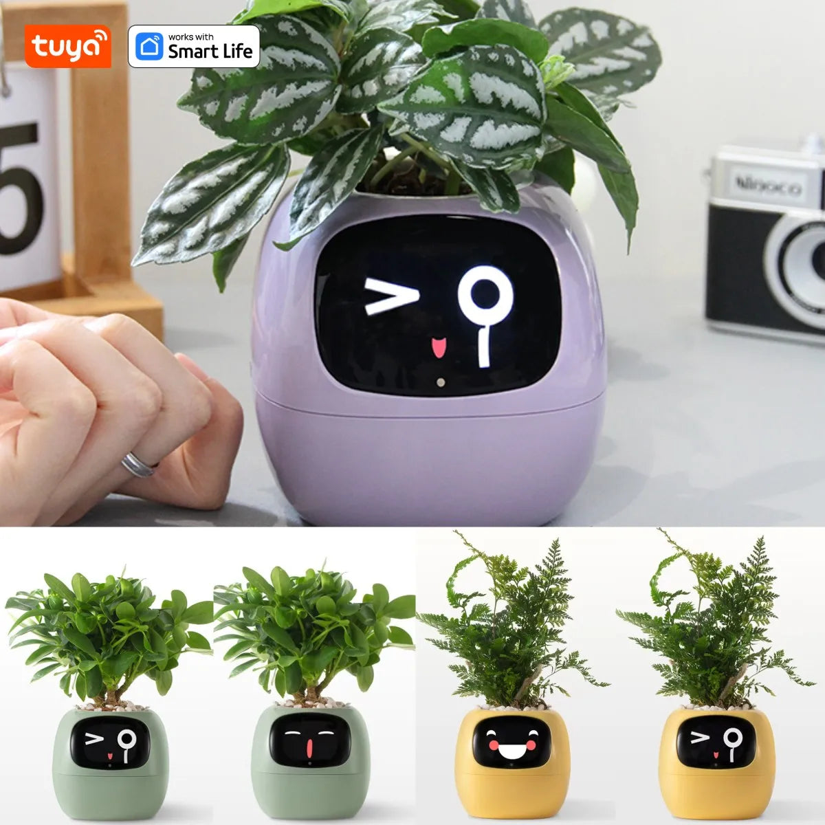 Ivy Tuya Smart Planter – AI Plant Care with Sensors