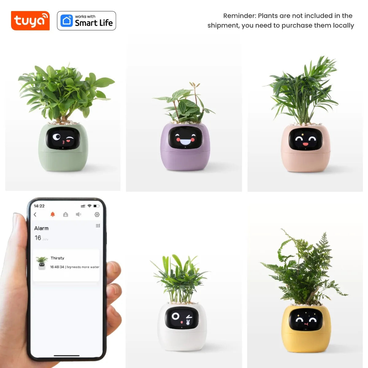 Ivy Tuya Smart Planter – AI Plant Care with Sensors