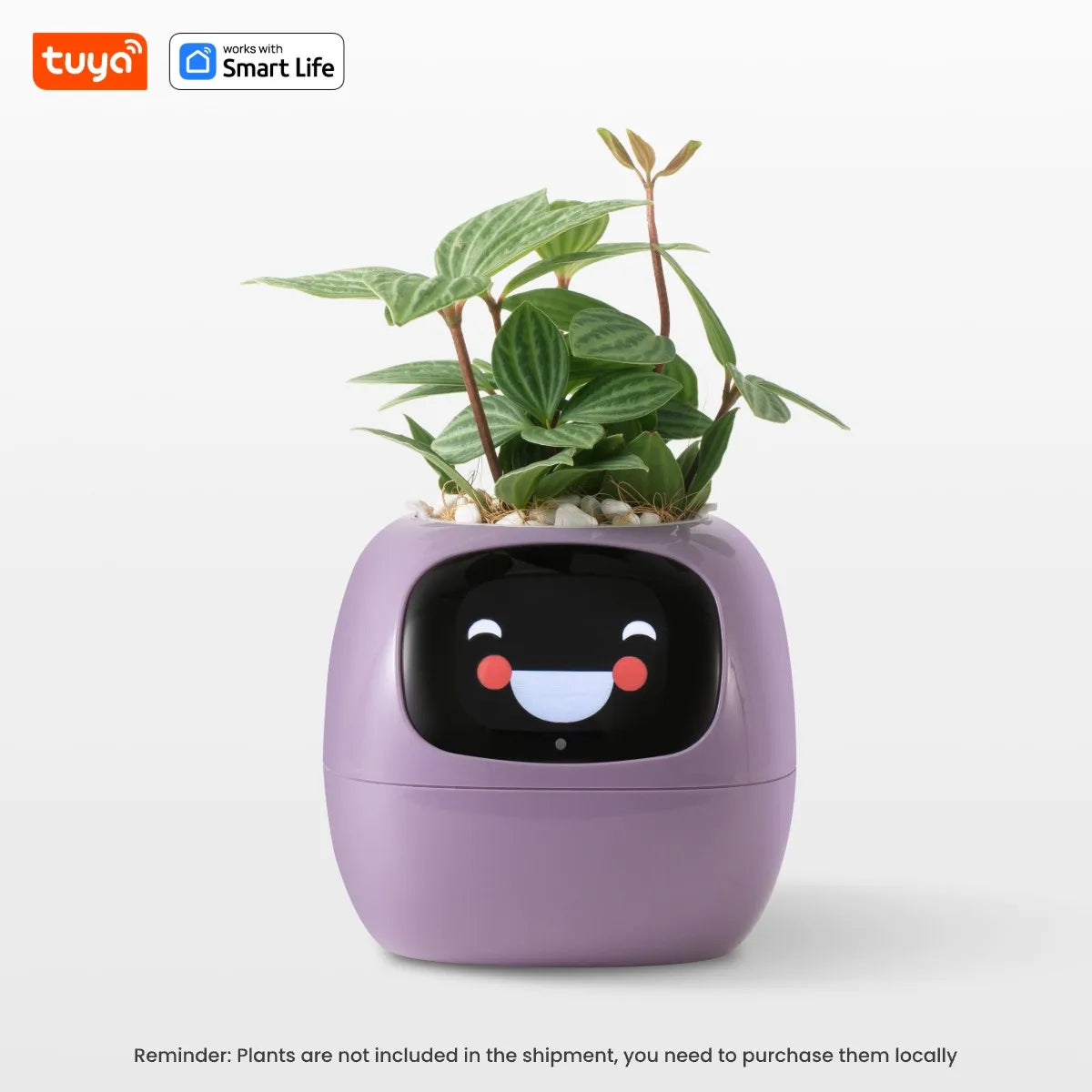 Ivy Tuya Smart Planter – AI Plant Care with Sensors