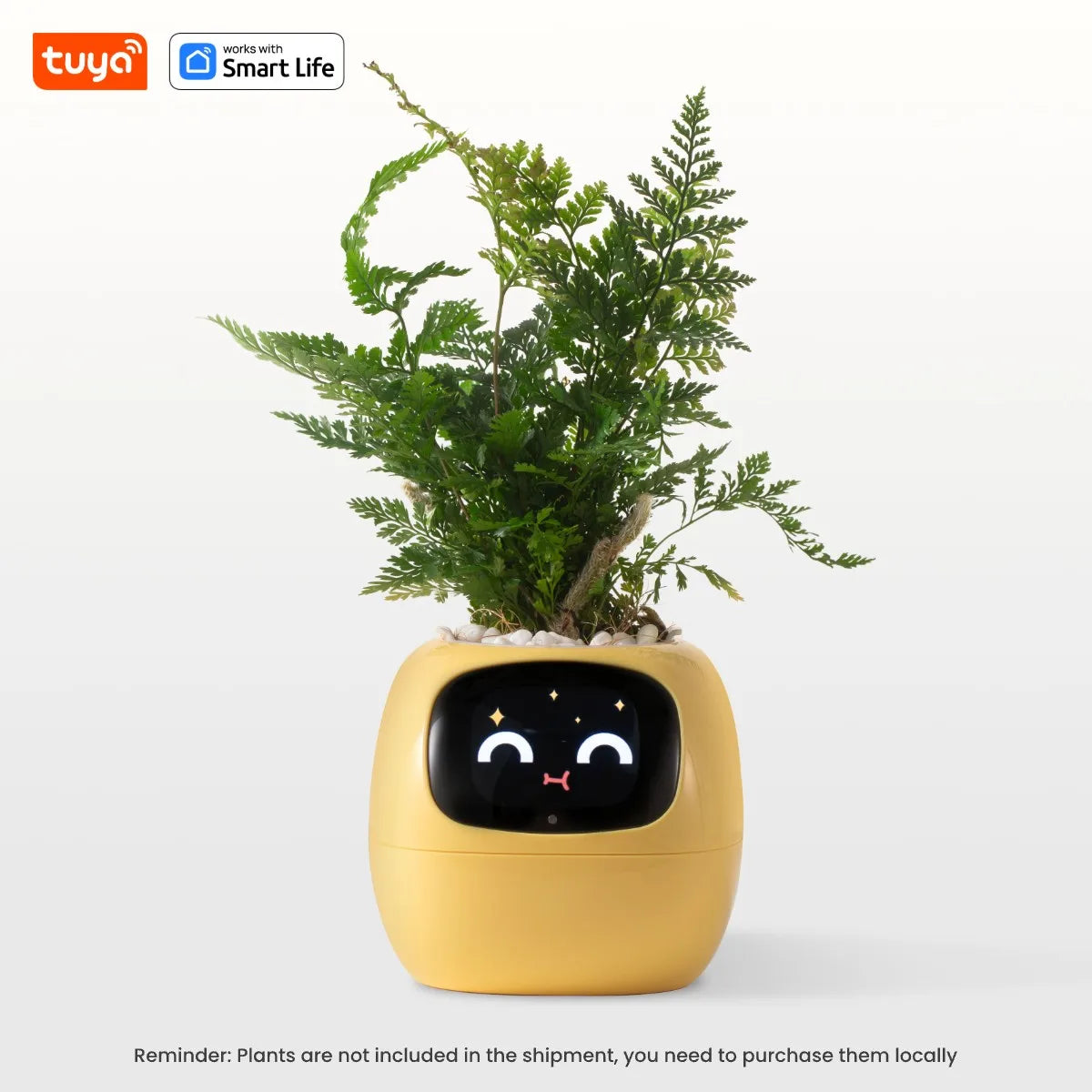 Ivy Tuya Smart Planter – AI Plant Care with Sensors