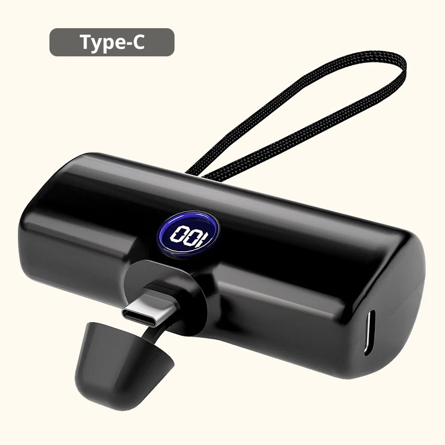 Fast Charge Portable Power Bank
