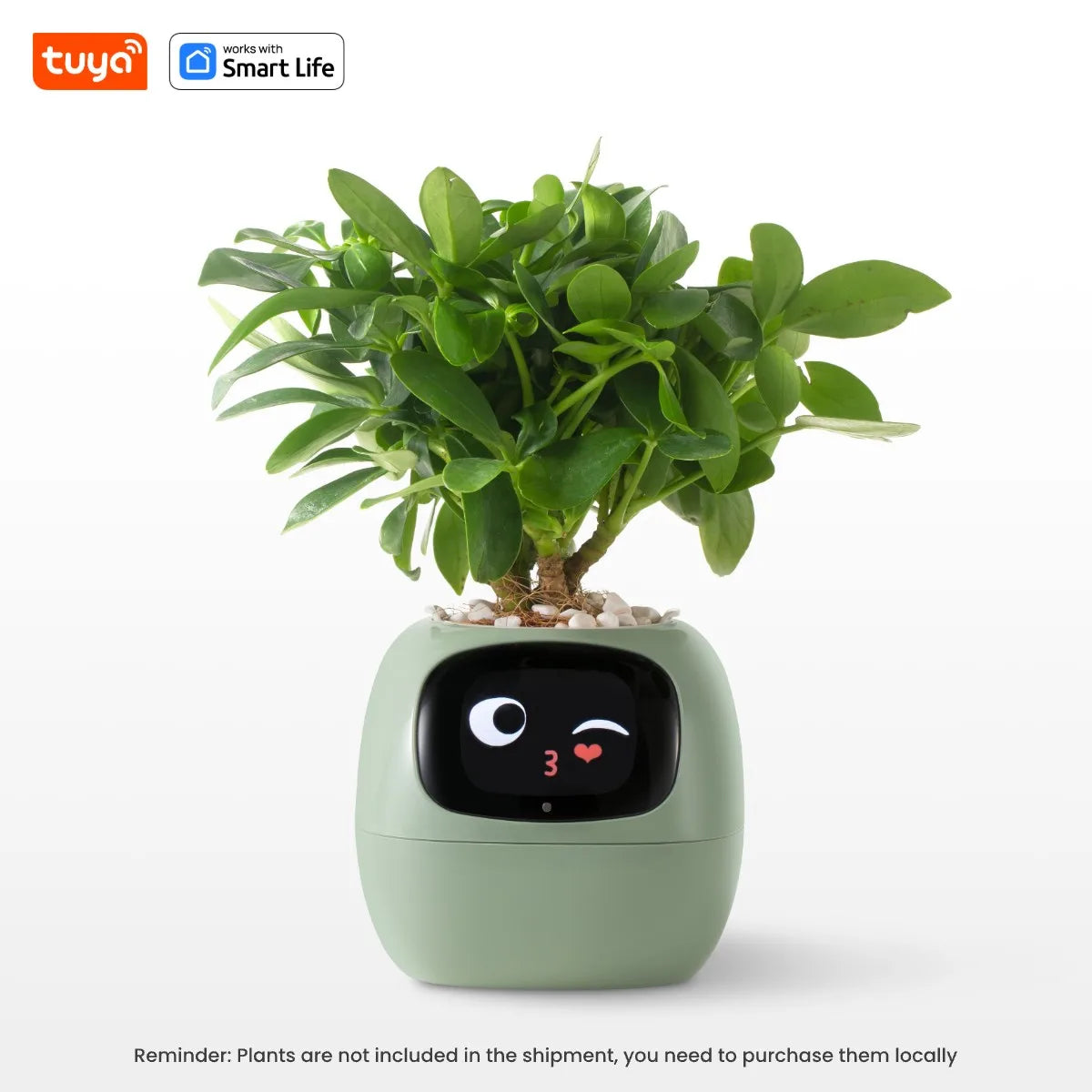 Ivy Tuya Smart Planter – AI Plant Care with Sensors