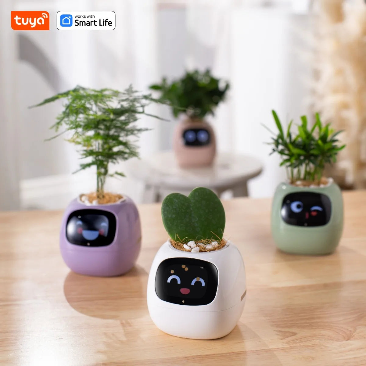 Ivy Tuya Smart Planter – AI Plant Care with Sensors